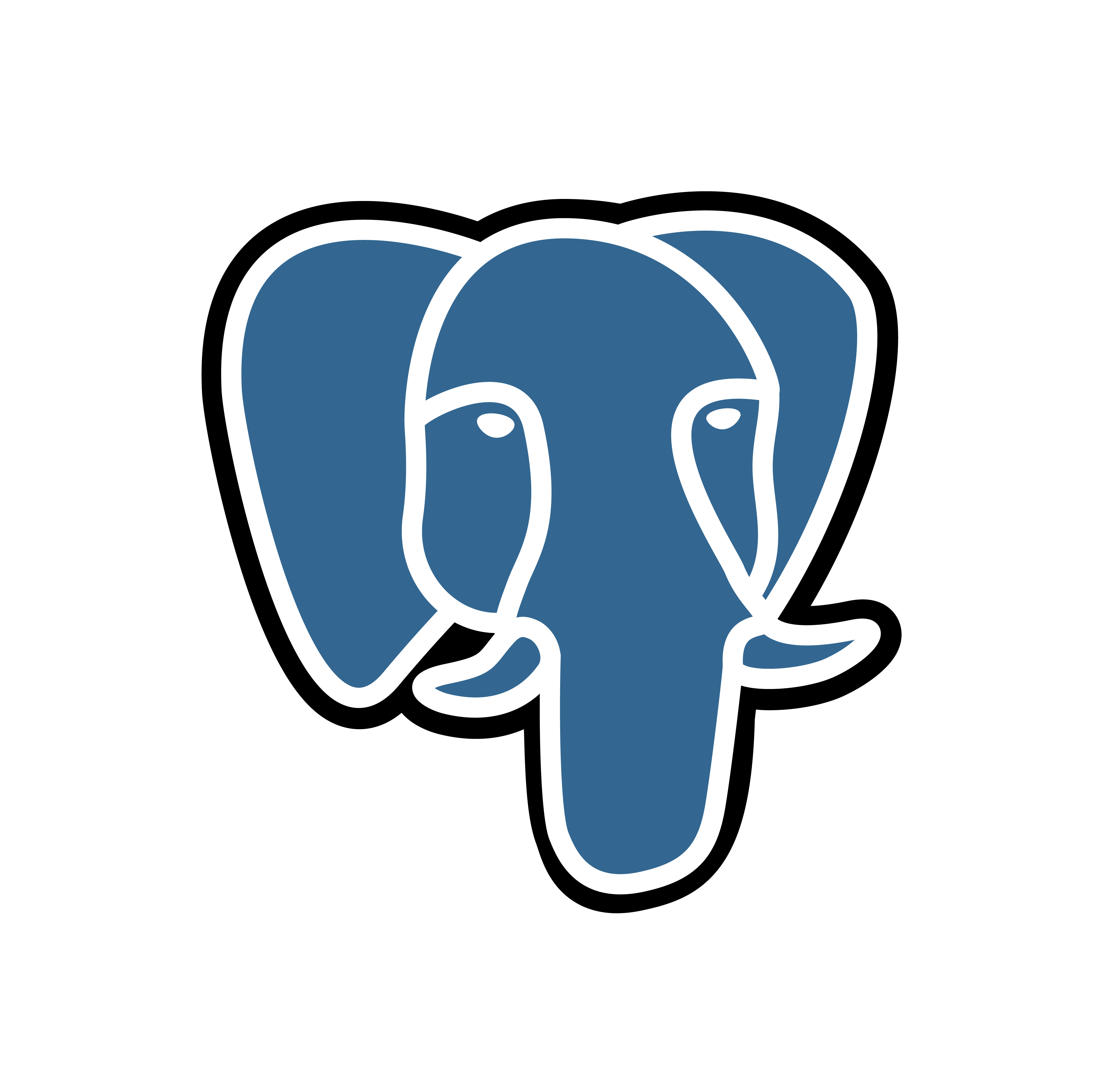 PostgreSQL